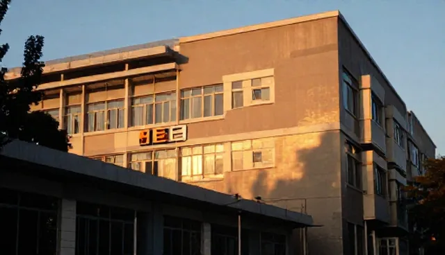 健康咨询平台使用中的常见误区与维护建议