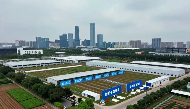 合规管理在财税咨询中的关键选型考量