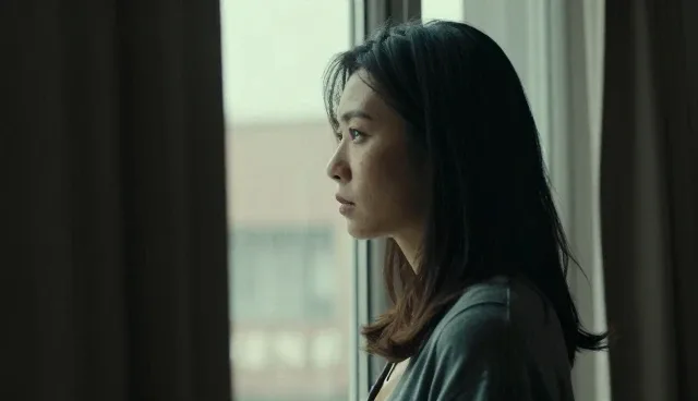 友情链接好处与实际操作中的理解偏差对比