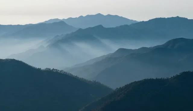 技术转让过程中常见问题及选型关注点分析