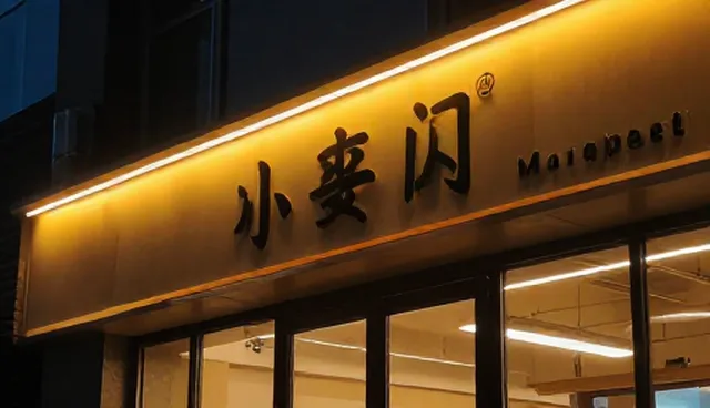 APP开发中服务器托管常见问题与处理策略