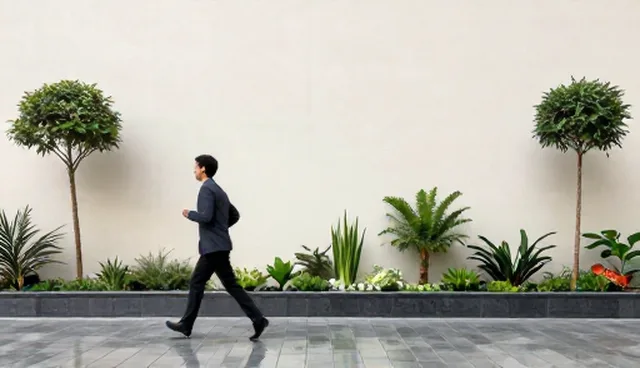 财税合规解决方案在商务代理中的适用场景与限制分析