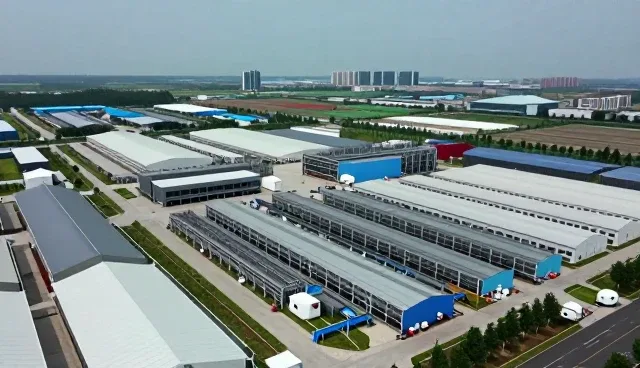 短视频广告制作中品牌视觉系统常见问题及应对策略