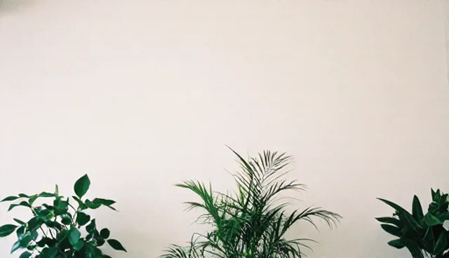 技术支持服务常见问题应对策略与使用建议
