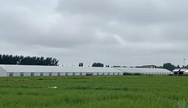 技术支持中的成本控制与实际环节应用