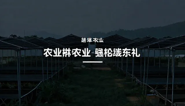 活动策划执行中的平面设计环节与流程分析