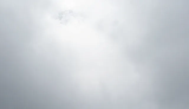 品牌咨询中的常见问题与有效处理策略
