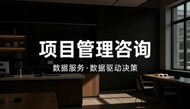 项目绩效提升中的数据驱动决策实践指南