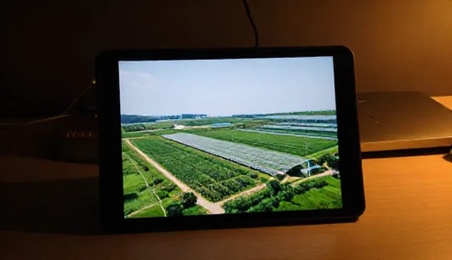 智能客服系统在数据安全平台中的理解偏差问题解析