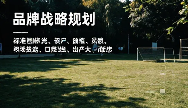 成本控制在品牌战略中的实际应用与挑战