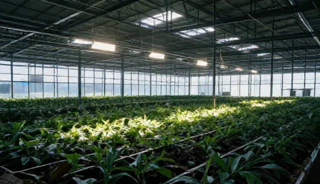 公众号开发性能优化与适用场景分析
