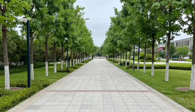 来图定制加工中的使用建议与常见问题处理指南