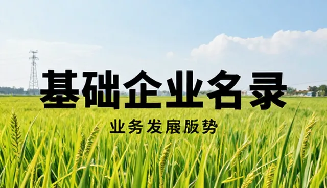 精准匹配与信息透明：找上海公司选型的关键关注点