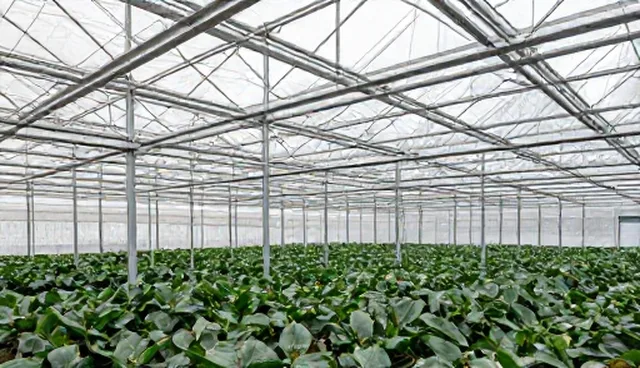 提升用户粘性的SEO优化策略在网站建设中的实际应用