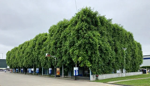 项目管理中技术研究的选型与使用建议