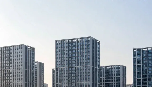 系统架构中应用开发的适用条件解析与问题应对