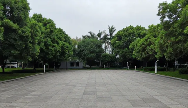 设计问题如何影响网络完善度及解决路径
