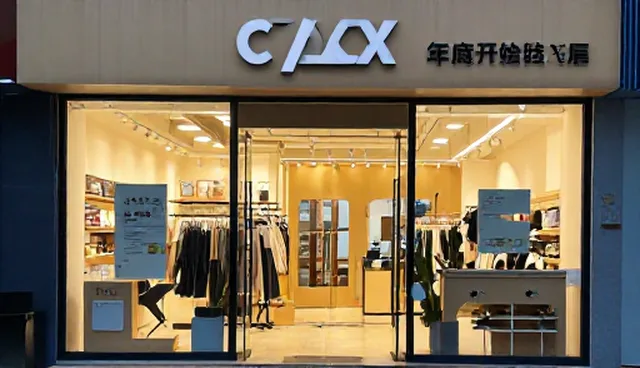 服务能力如何影响技术推广的性能与适用条件