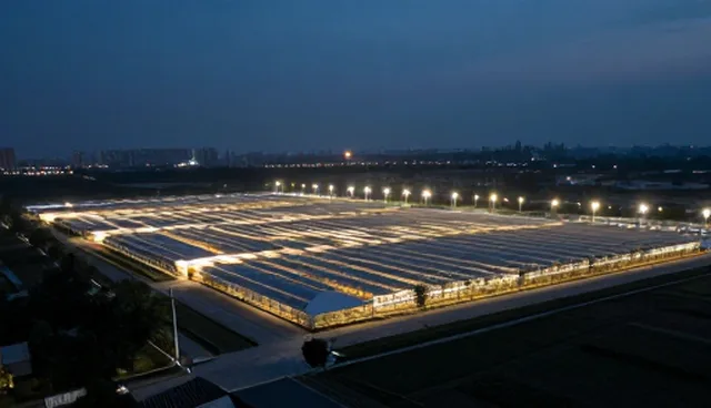 性能优化在系统集成中的适用条件与实践路径