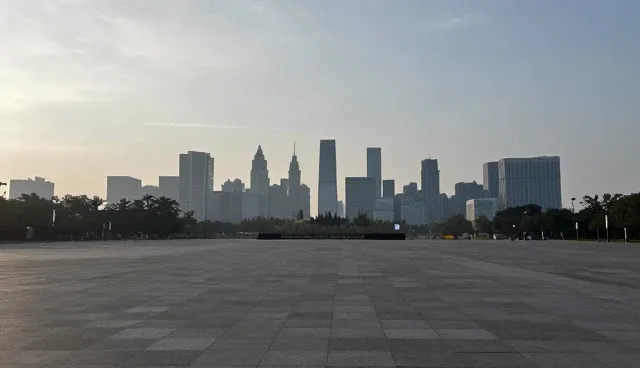APP开发中域名检查的5个要点与应用场景分析