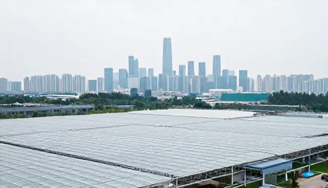 如何利用企业名录解决信息更新难题，阿里巴巴java开发手册提供实用指引