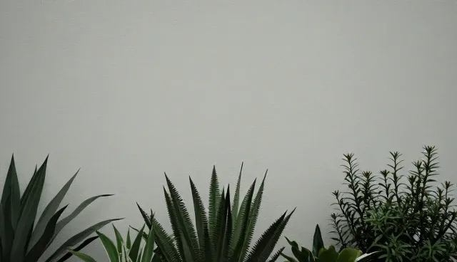 设计方案选型中的常见误区与正确理解