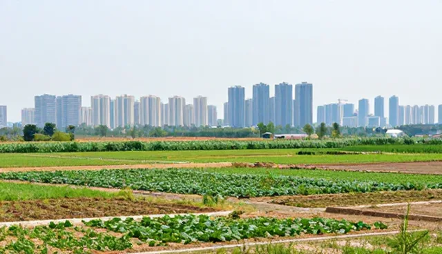 系统运维的5大检查要点与应用场景分析