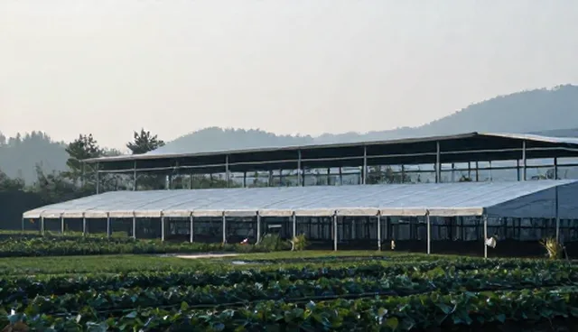 基层医疗资源不足，如何通过健康管理定制方案优化服务