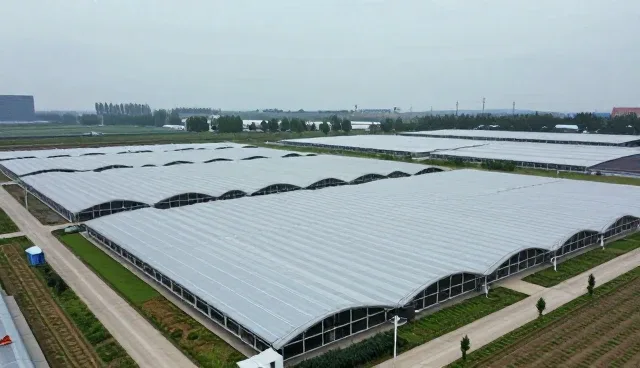技术适配中的常见问题与高效处理策略