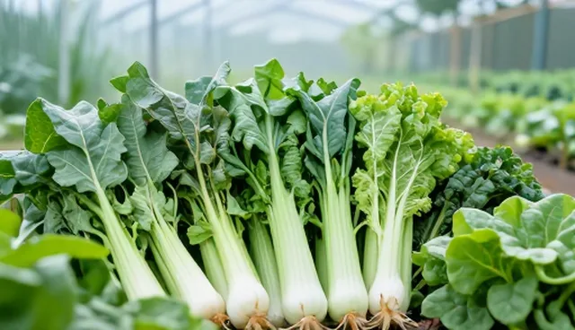 基地合作中选择依据对项目结果的影响