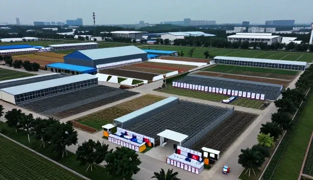 智能教学系统在师资培训中的性能表现与适用条件分析