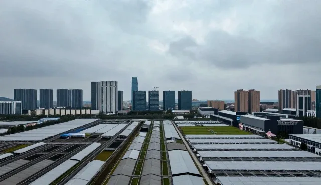 技术培训中遇到的典型问题及应对策略