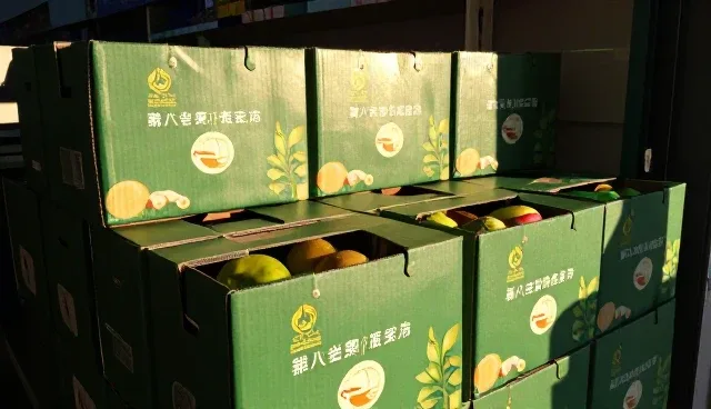 农业技术推广流程优化的选型与维护建议