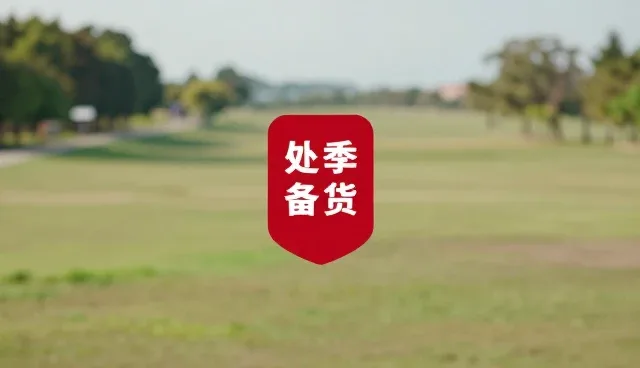 媒介投放场景分析在效率提升中的关键作用