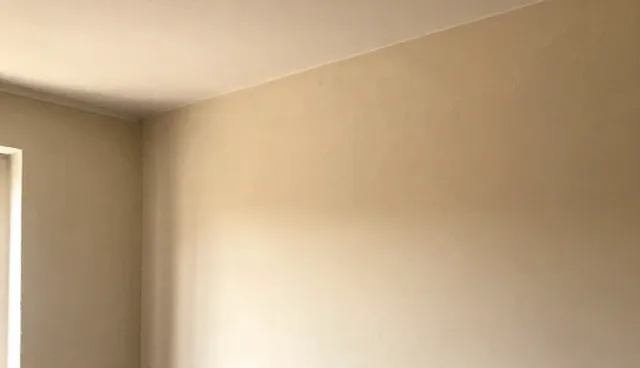 如何优化定制服务的使用维护流程？