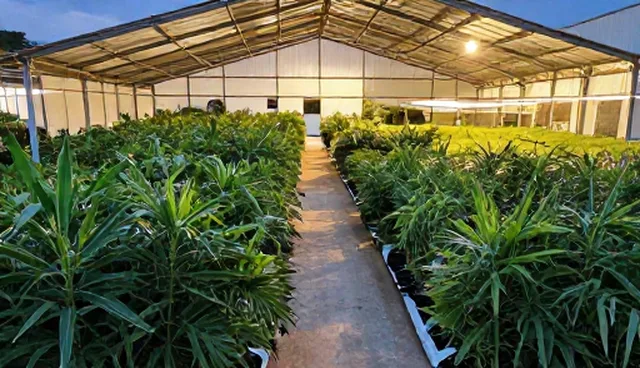 渠道供货对象覆盖的检查要点与适用边界分析