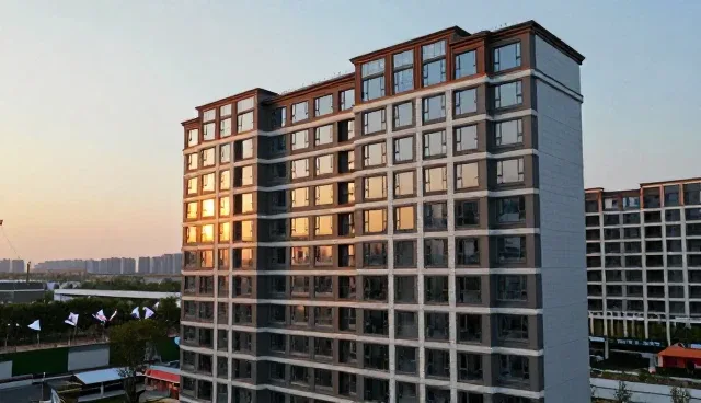 需求反馈在技术咨询中的实践价值与应用场景