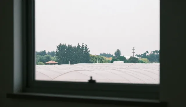 技术咨询套餐如何帮助企业实现风险控制