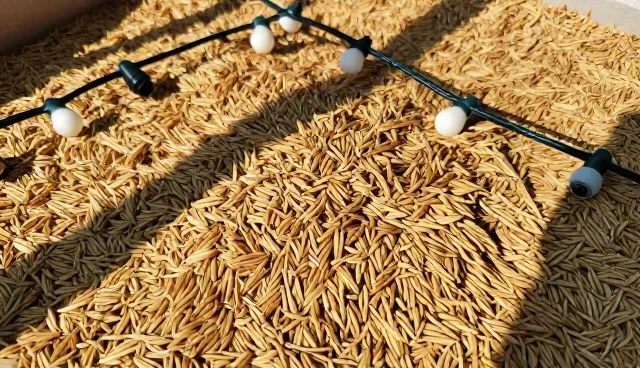 农业技术咨询服务的适用场景与注意事项