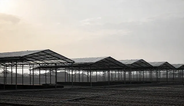 技术开发中客户需求如何成为选型的关键考量