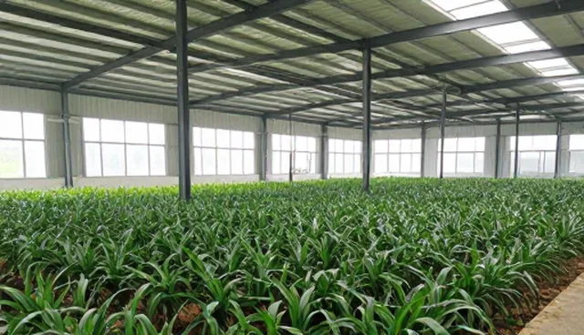 提升种植效率：农产品收购如何驱动农业技术升级