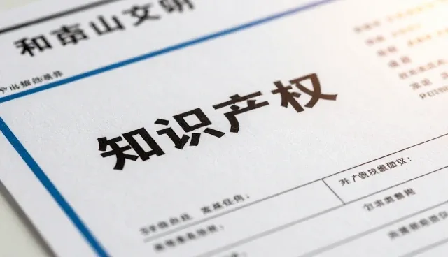技术转让使用与维护建议的实践分析