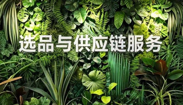 提升产品使用寿命的实用维护技巧