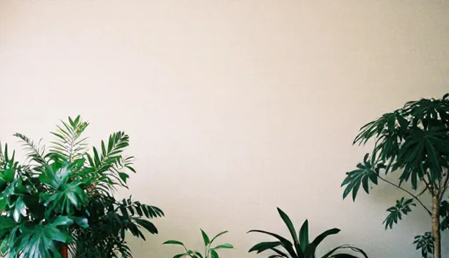 算法优化中的关键词密度影响SEO效果