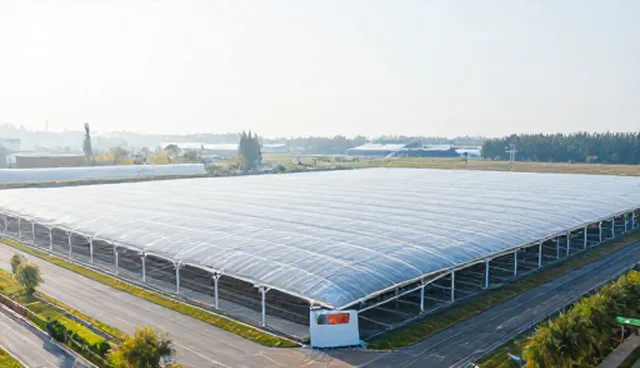 短视频运营选型建议：转化率提升关键分析