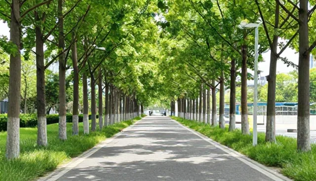 技术升级套件在实时数据场景中的应用实践
