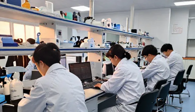 品牌代理业务中质量控制的实践与未来趋势