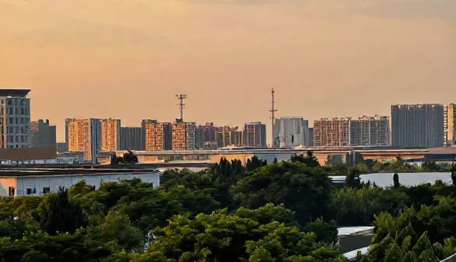 域名使用中的常见问题及维护建议