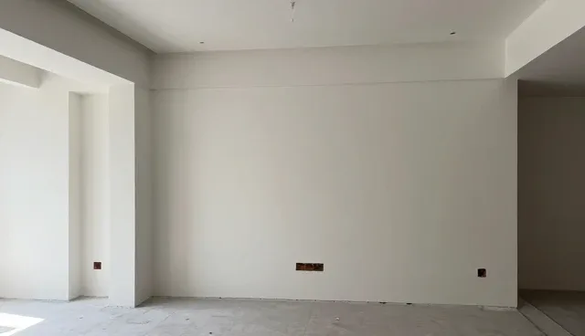 提升客户体验：汽车保养服务的使用与维护建议