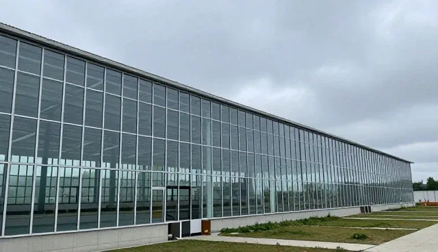 技术转让中的选型关注点及适用限制